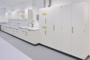 Laboratory Cupboard